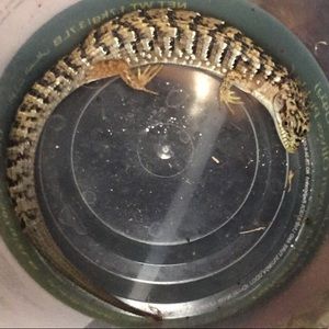 Meet your Posher, Ishaq